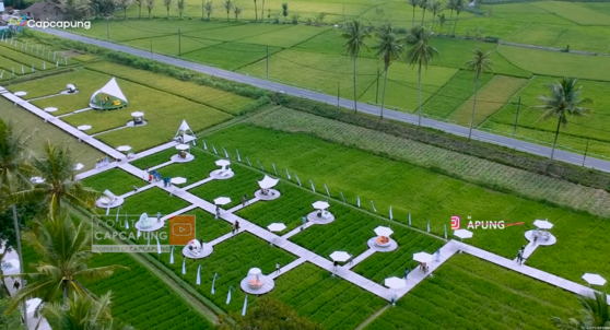 Kisah Pengusaha Sulap Sawah Jadi Wisata Aesthetic dan Instagramable di Kisaran Borobudur. (Foto: YouTube/CapCapung)