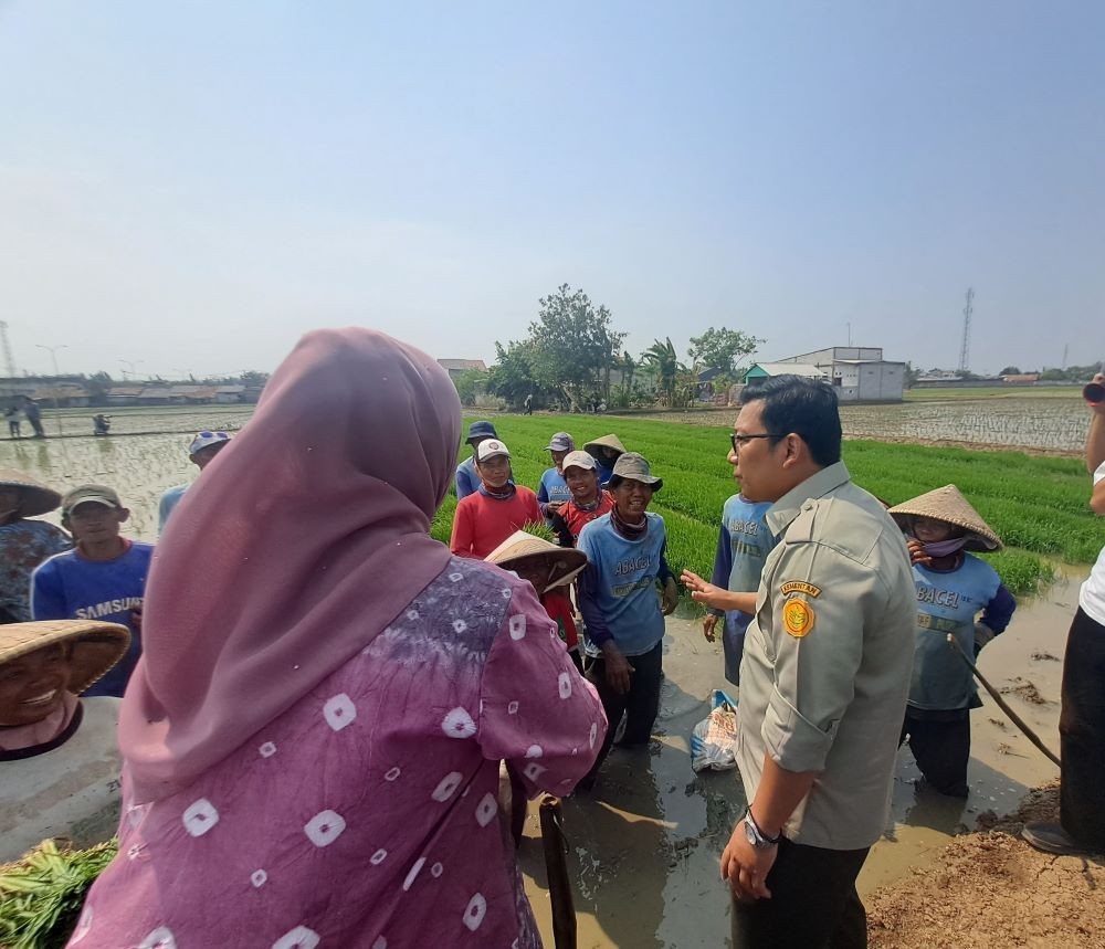Ini Strategi Plt Mentan agar RI Tak Perlu Impor Beras di 2024. Foto: MNC Media.