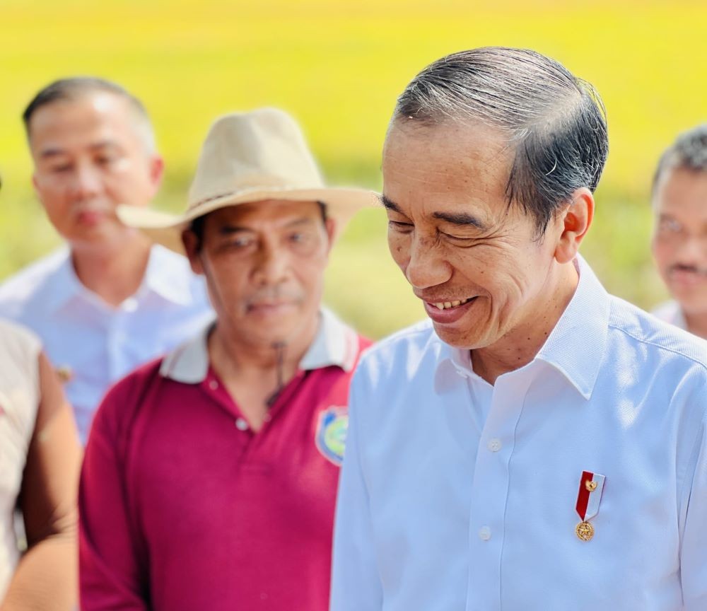 Tinjau Panen Raya di Indramayu, Jokowi Pastikan Produksi Beras Nasional Aman. Foto: Biro Setpres.