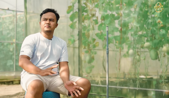 Kisah Sukses Petani Muda, Pilih Melon Greenhouse dan Raup Omzet Ratusan Juta dalam Setahun. (Foto: YouTube/Pecah Telur)