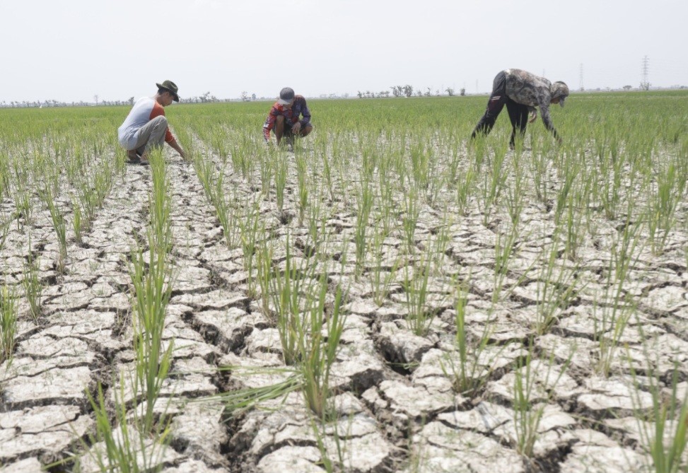 Kementan Rakor dengan Kementerian PUPR, Kejar Peningkatan Produksi Beras 35 Juta Ton (FOTO:Dok Kementan)
