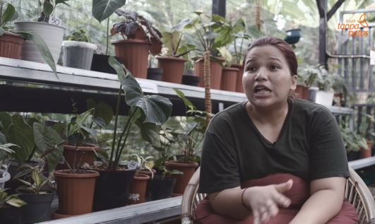 Peluang Bisnis Tanaman Hias: Awalnya Iseng, Sampai Laku Satu Pot Puluhan Juta. (Foto: YouTube/Kisah Tanpa Batas)