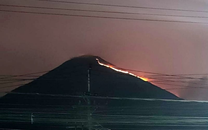 Gunung Penanggungan yang berada di wilayah Kabupaten Mojokerto, Jawa Timur, terbakar. (Avirista M/MPI)