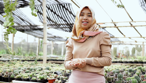 Kisah Inspiratif IRT Bisnis Kaktus dan Sukulen, Raup Omzet hingga Rp200 Juta per Bulan. (Foto: YouTube/DNTrust)