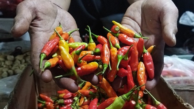 Stok Menipis, Harga Cabai di Malang Makin Meroket (Foto: MNC Media)