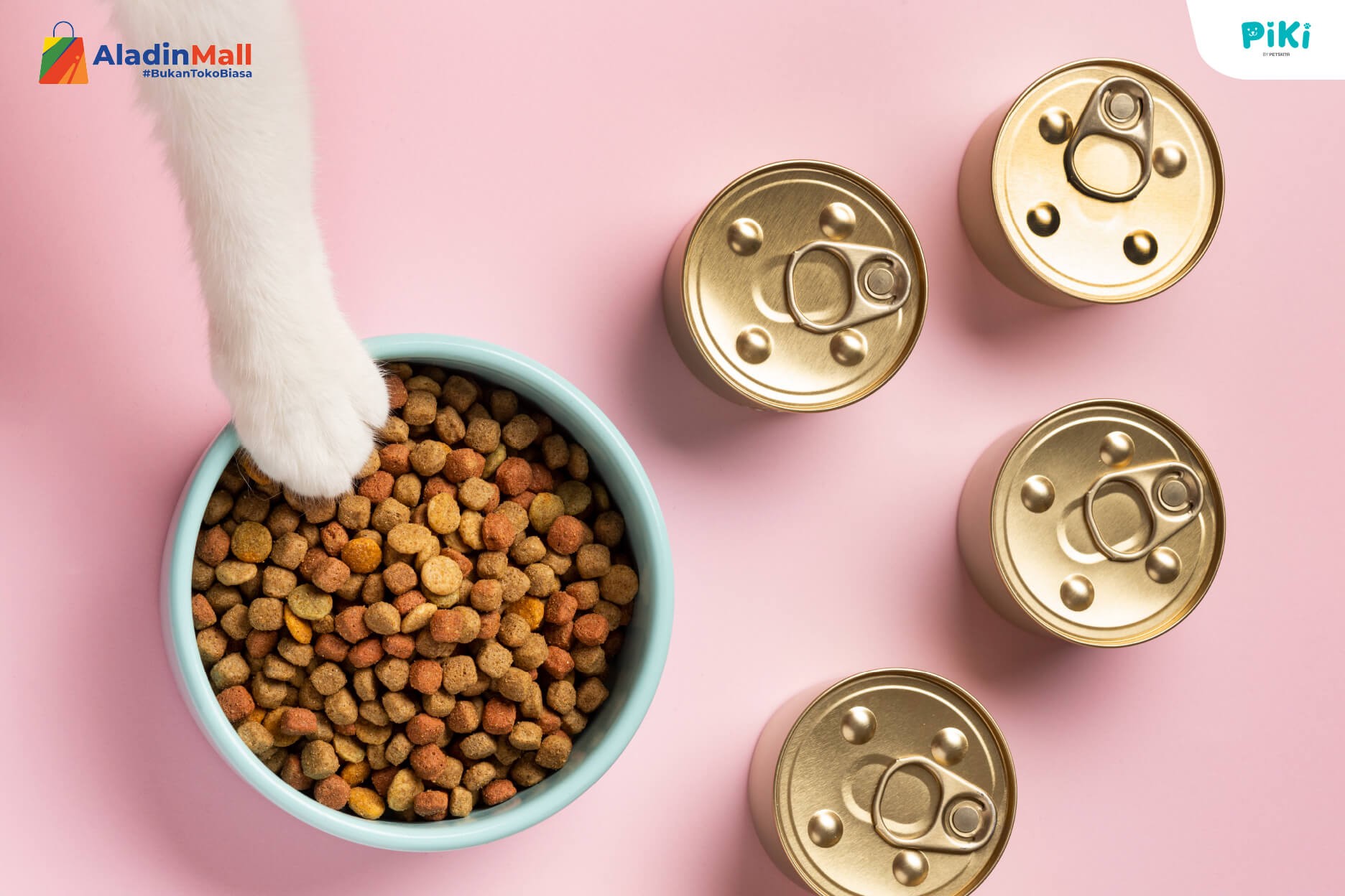 Enam Jenis Makanan Kucing yang Kaya Gizi, Ikan Tuna hingga Telur Ayam (FOTO:MNC Media)