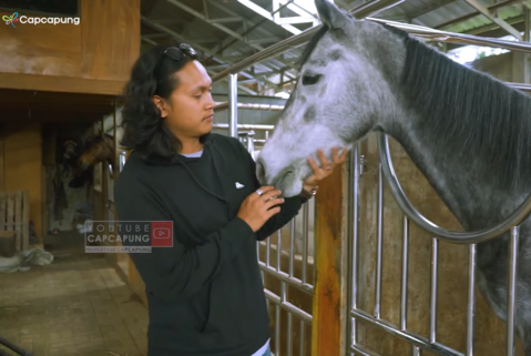 Cuan Fantastis dari Peternakan Kuda, Pebisnis ini Raup Puluhan Juta per Ekor. (Foto: YouTube/CapCapung)