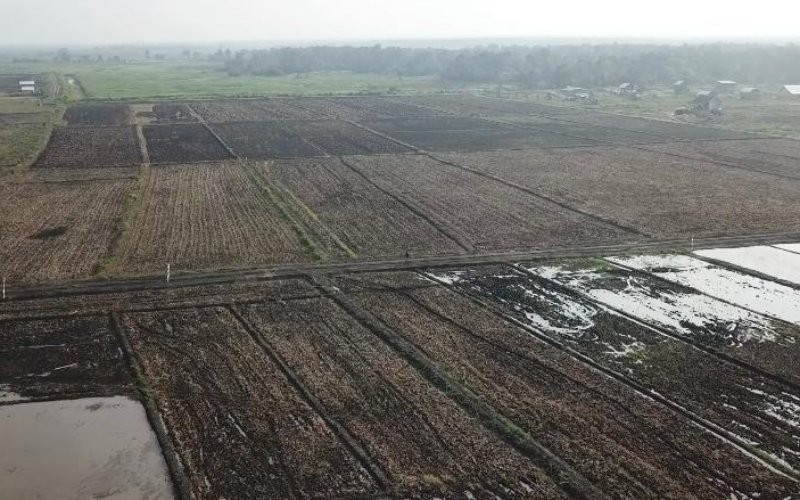 Kementan akan menggelontorkan Rp5,8 triliun untuk mendukung percepatan masa tanam atau program tanam cepat untuk komoditas padi dan jagung. (Kementan)