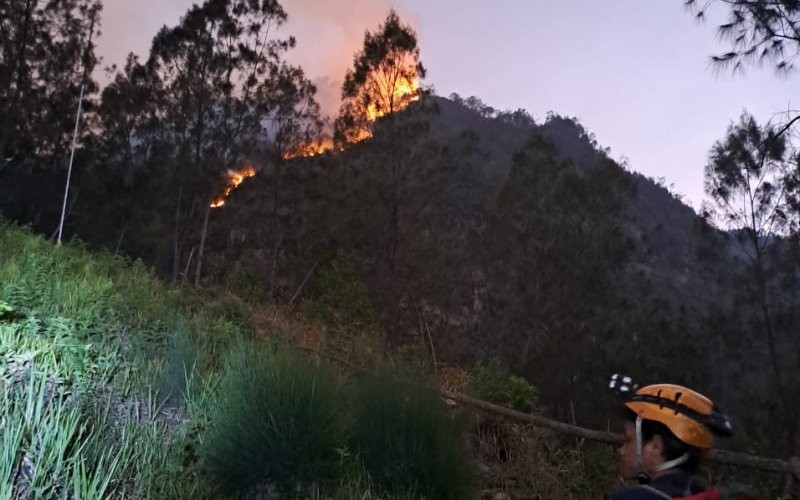 Lahan hutan di Gunung Panderman Kota Batu, Jawa Timur, terbakar. (Avirista M/MPI)