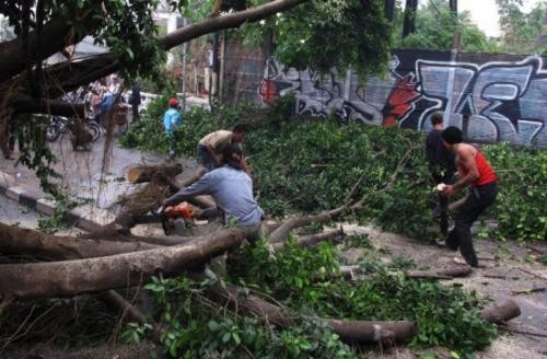 Berapa Bayaran Tukang Tebang Pohon di Amerika Serikat? (Foto: MNC Media)
