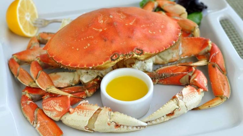 6 Kepiting Termahal di Dunia yang Harganya Sebanding dengan Emas. (FOTO: MNC MEDIA)