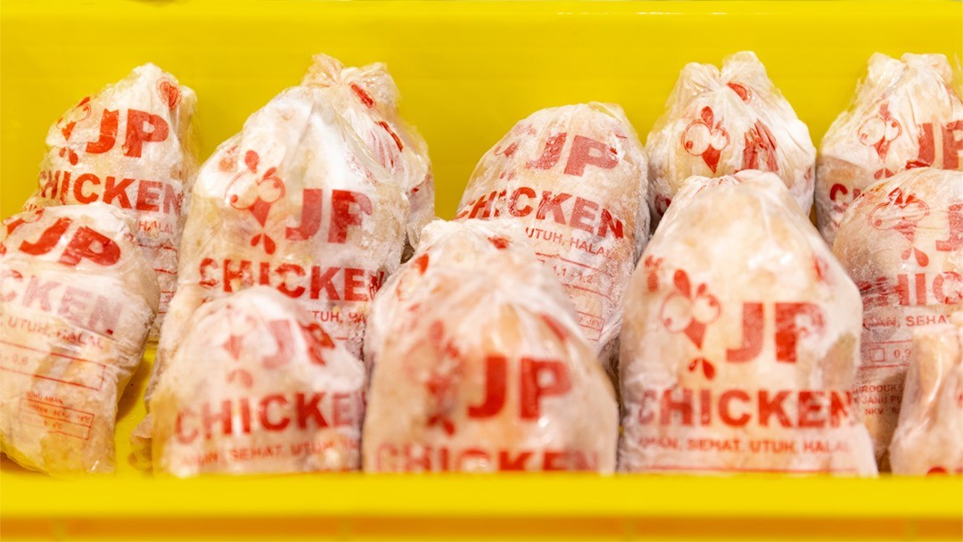 Laba Emiten Peternakan Janu Putra (AYAM) Naik Jadi Rp6,56 Miliar di Kuartal III-2024. (Foto: MNC Media)