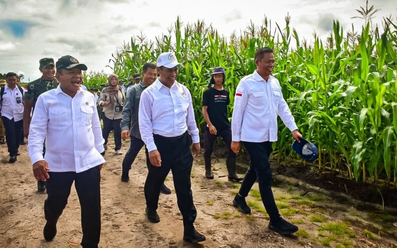 Antisipasi Krisis Pangan, Mentan Sediakan 10 Ribu Hektare Lahan Pertanian di Merauke. (Foto: MNC Media)