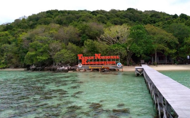 Balai Taman Nasional Karimunjawa (TNJK) meminta wisatawan yang berlibur di wilayah tersebut tetap mematuhi kaidah konservasi. (Istimewa)