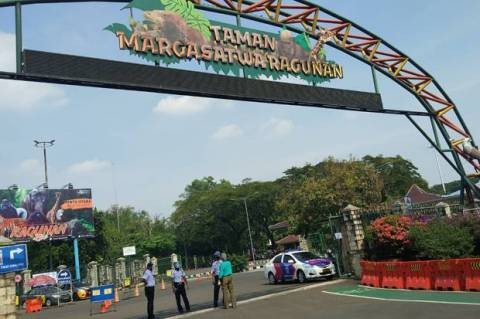 Jelang Idul Adha 2024, Ragunan Diserbu 16 Ribu Pengunjung. (Foto: MNC Media)