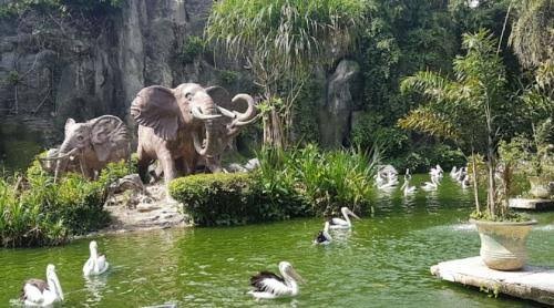 Pengelola Pastikan Ragunan Tetap Buka pada 1 Januari 2023 (FOTO:MNC Media)