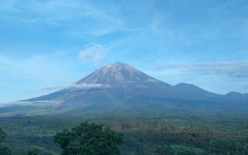 Gunung Semeru Erupsi 226 Kali sejak Awal 2024. (Foto: MNC Media)