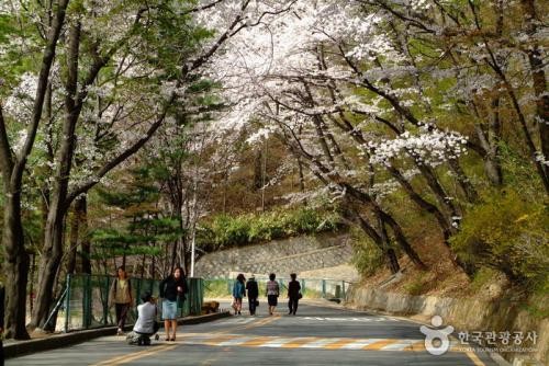 Inilah 10 Rekomendasi Wisata di Korea. (FOTO: MNC MEDIA)