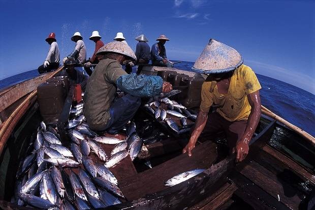 Andalkan Dua Komoditas, Produksi Perikanan Tangkap Jatim Tertinggi se-Indonesia (foto: MNC media)