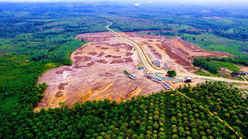 Gelontorkan Rp250 Miliar, Bluebird (BIRD) Beberkan Progress Investasi di IKN (FOTO:MNC Media)