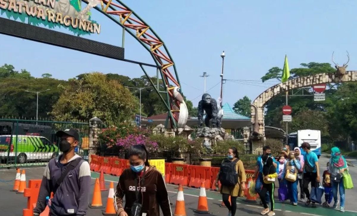 Simak Panduan Rute Busway ke Kebun Binatang Ragunan. (Foto: MNC Media)
