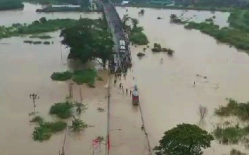 Banjir Rendam 7.000 Hektare Lahan di Pati, Petani Gigit Jari (Foto MNC Media)