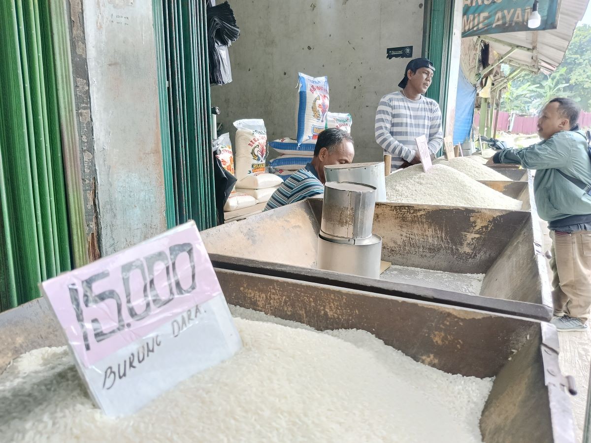 Harga Beras di Tingkat Penggilingan, Grosir dan Eceran Naik pada Juli 2025 (iNews Media Group)