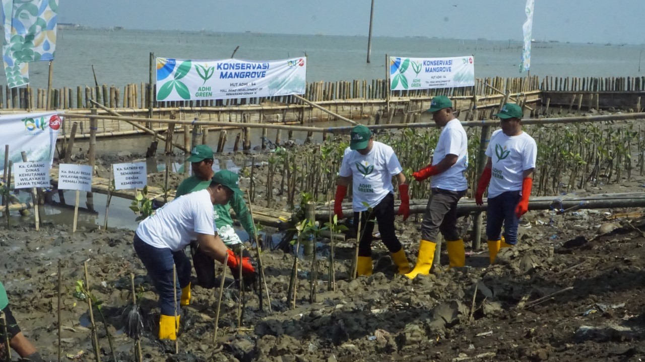 Perkuat Implementasi ESG, Adhi Karya (ADHI) Hijaukan 50 Hektar Lahan Konservasi  (foto: MNC Media)