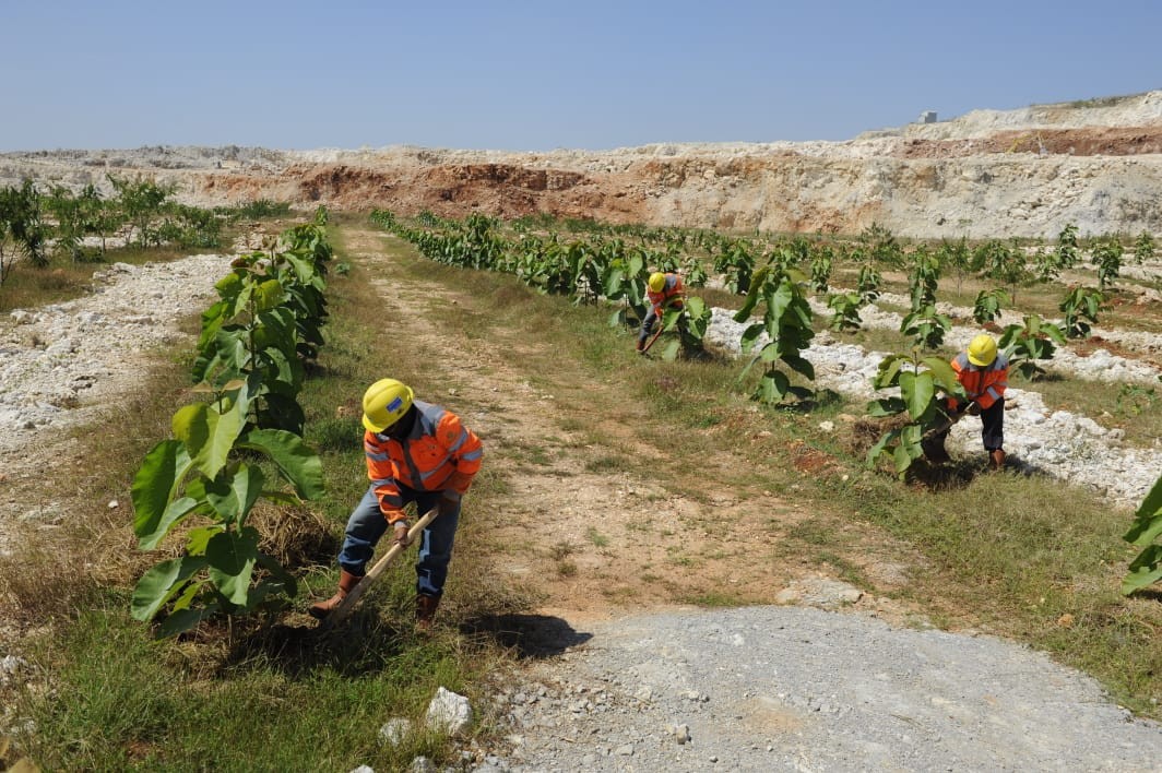 SIG (SMGR) Masuk Top 10 Construction Materials dengan Rating ESG Terbaik di ASEAN (foto: MNC Media)