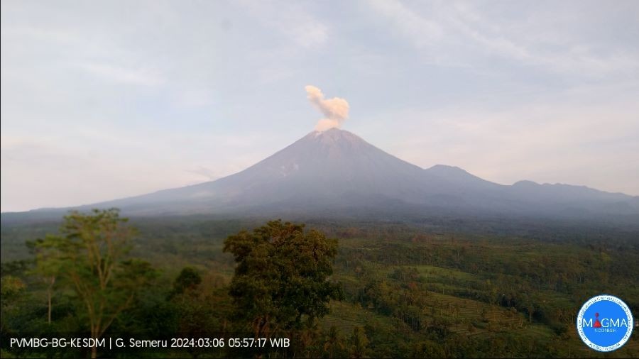 Gunung Semeru Erupsi Pagi Ini, Kolom Abu Capai 800 Meter di Atas Puncak. (Foto: PVMBG)