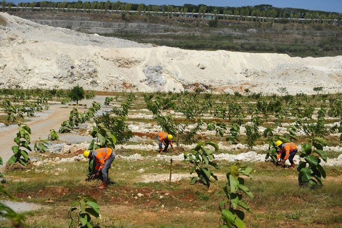 Hingga 2023, SIG Sukses Reklamasa 238,64 Hektare Lahan Pascatambang di Tuban (foto: MNC Media)