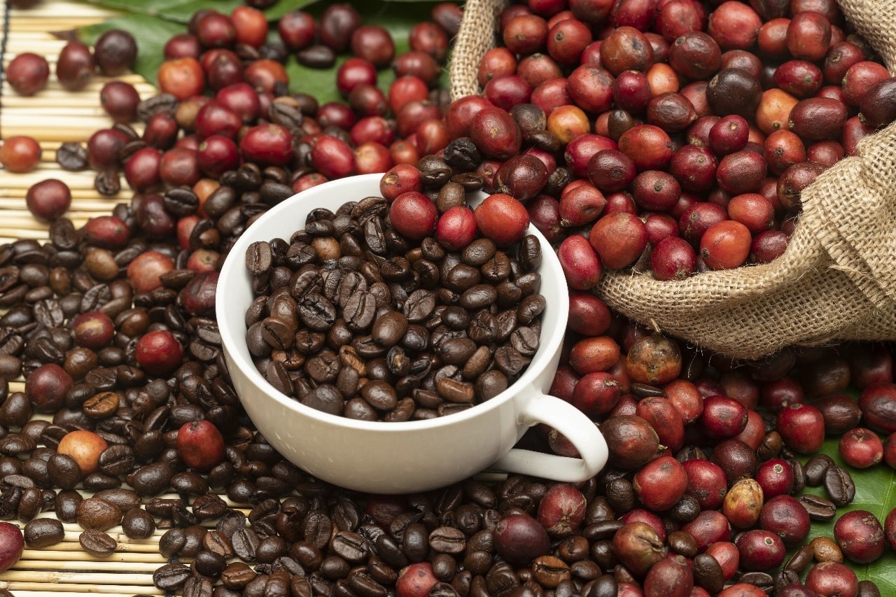 Produk Kopi Ramah Lingkungan RI Incar Pasar Vietnam. (Foto: MNC Media)