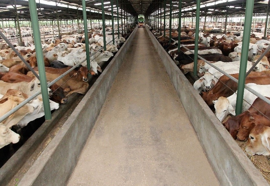 Harga Saham ke Bawah Gocap, Tumiyana Lepas 250 Juta Saham WMPP. (Foto: Widodo Makmur)
