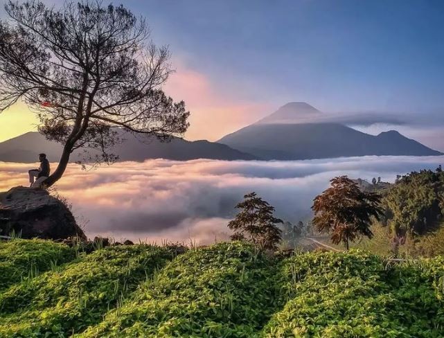 Ini Enam Destinasi Wisata di Wonosobo yang Wajib Dikunjungi saat Mudik Lebaran (FOTO:MNC Media)