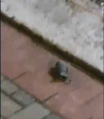 Gudang Peluru di Bogor Meledak, Proyektil Granat Terlempar ke Pemukiman Warga. (Foto: Akun X @textdrbekasi)