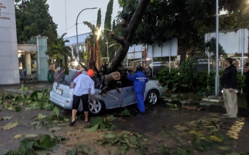 Hujan deras disertai angin kencang menerjang wilayah Kabupaten Bogor, Jawa Barat. (Putra Ramadhani/MPI)
