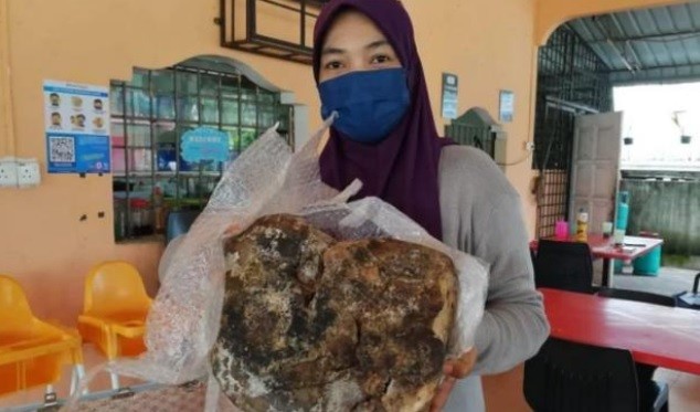 Simak Kisaran Harga Muntahan Ikan Paus 1 Kg 2024. (Foto: MNC Media)