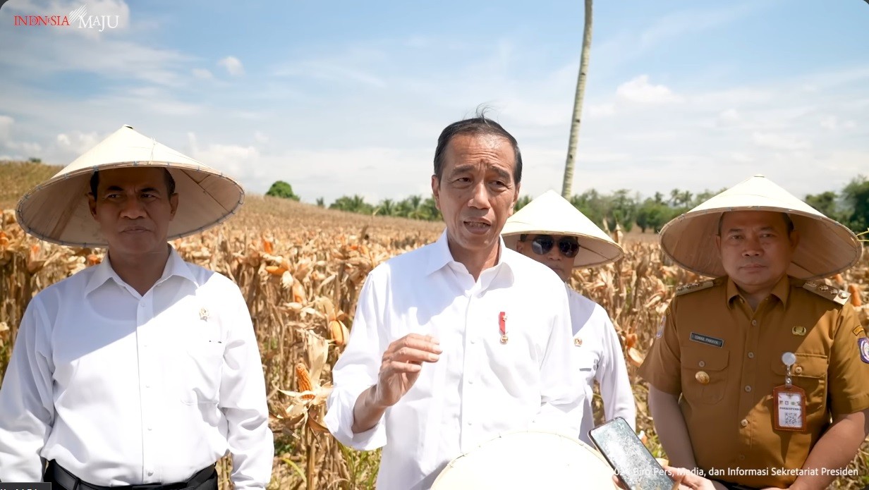 Jokowi Harap Berlimpahnya Produksi Jagung Dibarengi Kenaikan Harga. (Foto YouTube Setpres)