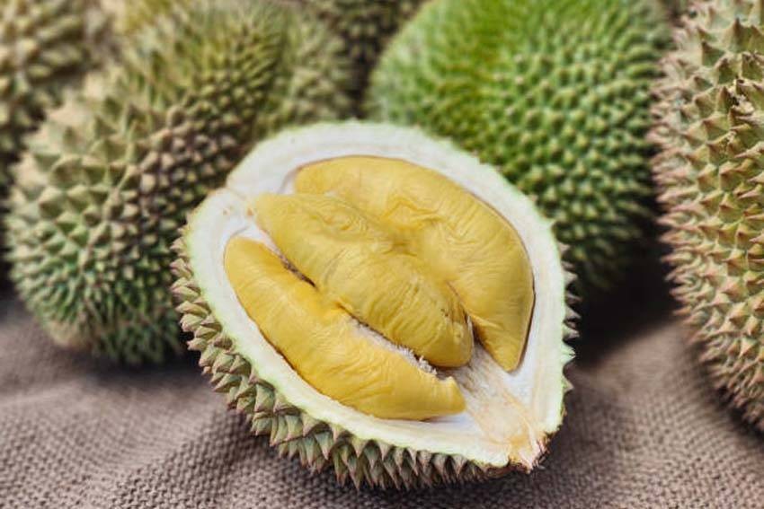 5 Negara Tujuan Ekspor Durian Indonesia, China Nomor 1. (FOTO: MNC MEDIA)