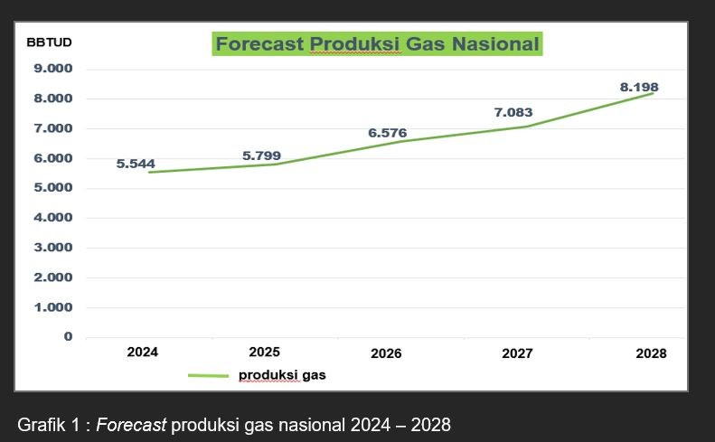 Produksi Meningkat, SKK Migas: Pasokan Gas Bumi Untuk Domestik Terpenuhi