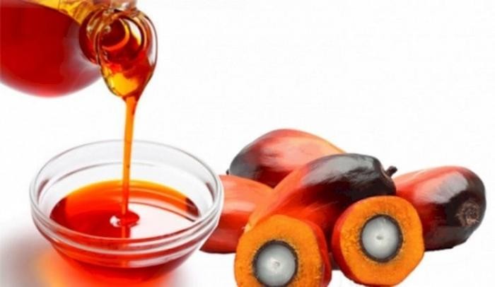Kemenkop UKM Soroti Dua PR Besar untuk Kembangkan Minyak Makan Merah. (Foto: MNC Media)