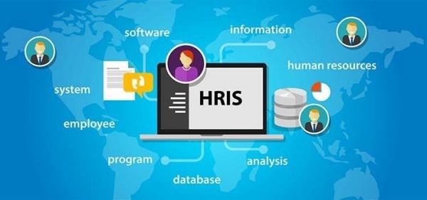Simak Deretan Aplikasi HRIS Gratis untuk HRD. (Foto: MNC Media)