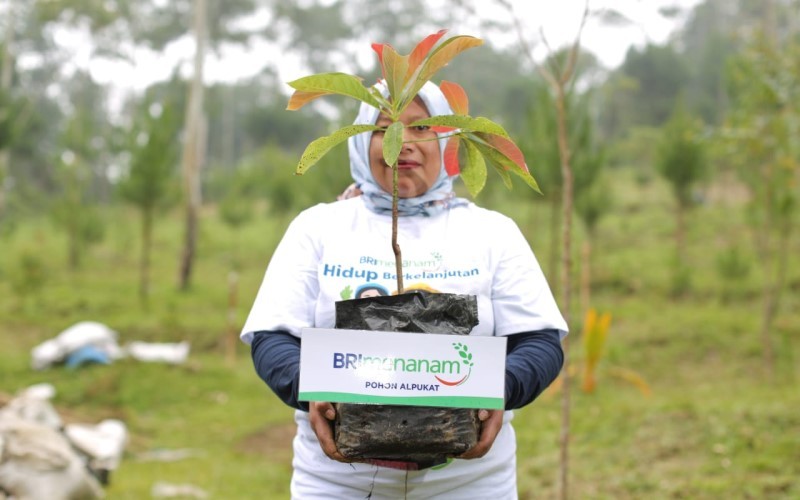 Konsisten Usung ESG, BRI Masuk Daftar CNBC Indonesia Green Business Ratings 2024 . (Foto: MNC Media)