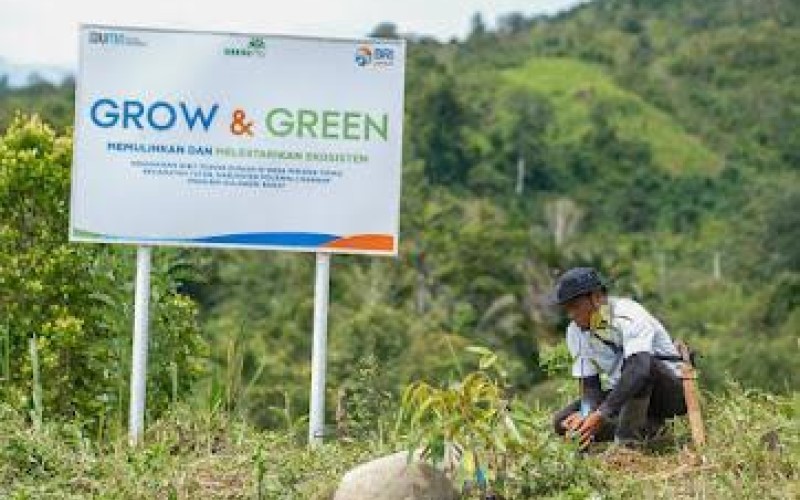 Program BRI Menanam Grow and Green, Pulihkan Ekosistem dan Lawan Perubahan Iklim. (Foto: Dok BRI)
