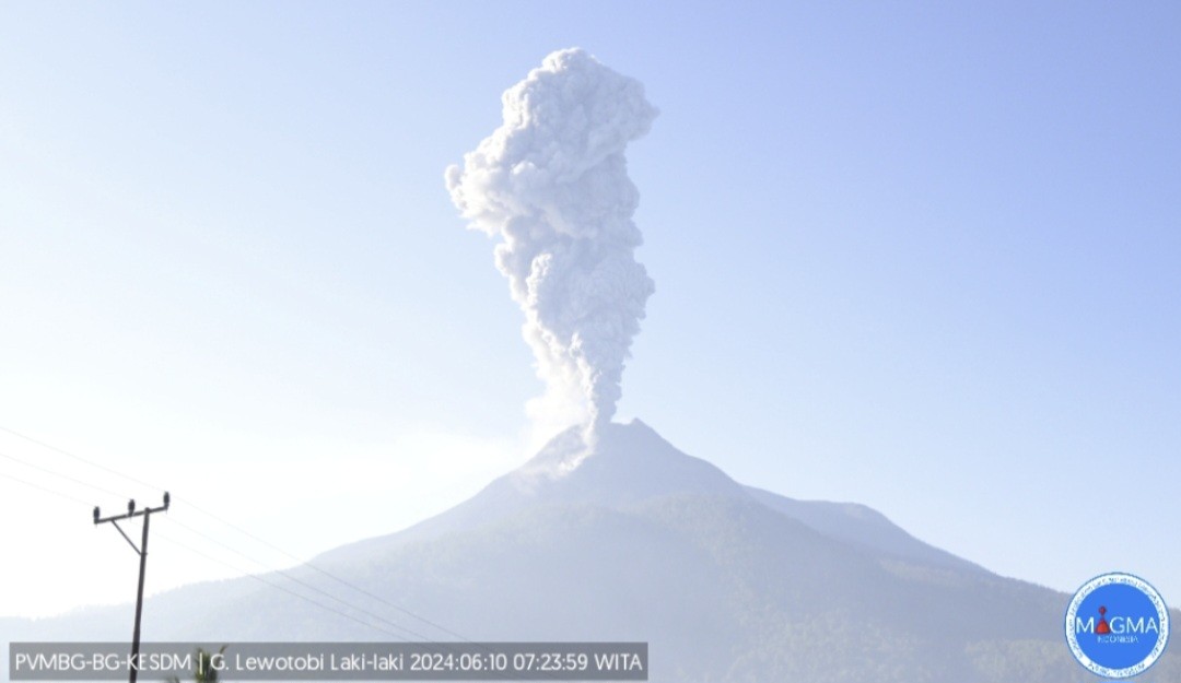 Gunung Lewotobi Laki-Laki Kembali Erupsi, Letusan 800 Meter di Atas Puncak  (FOTO:Dok Ist)