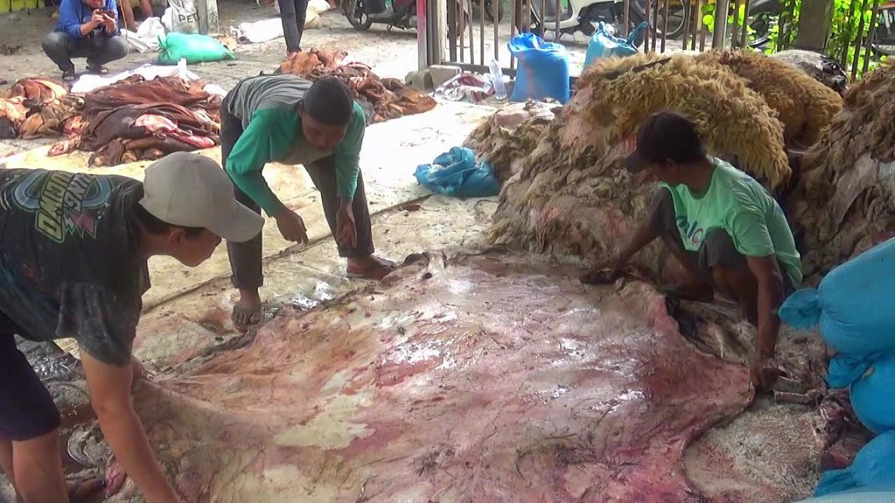 Berkah Idul Adha, Pengepul Kulit Hewan Kurban di Bojonegoro Kebanjiran Penjual (FOTO:Dok Ist)