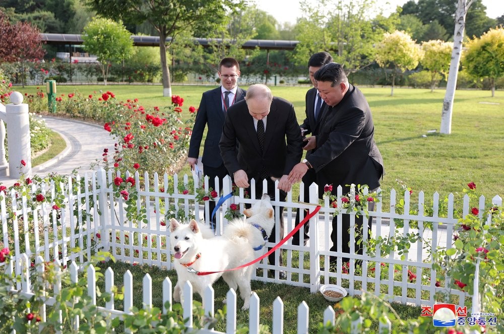 Putin Terima Hadiah Sepasang Anjing dari Kim Jong Un. (Foto: REUTERS/KCNA)