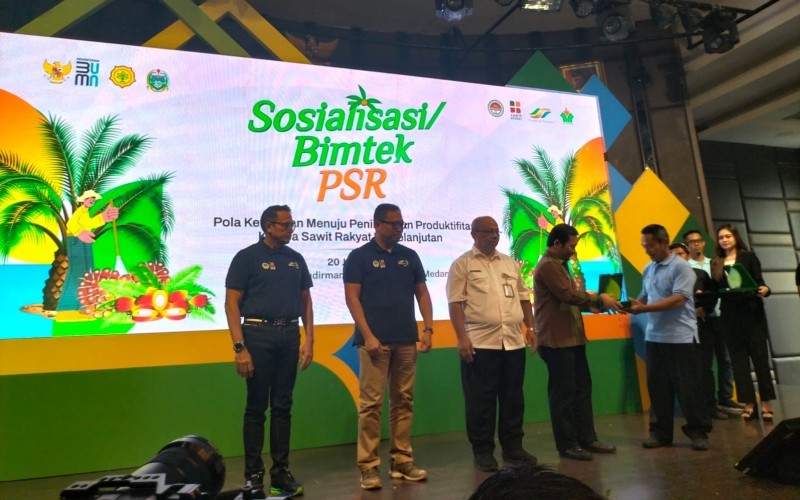 Subholding PalmCo menargetkan peremajaan 60.000 hektare lahan sawit (PalmCo)