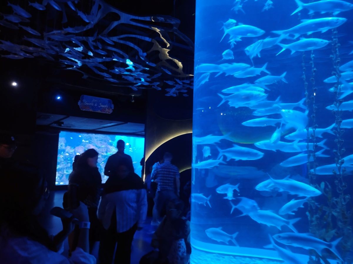 Liburan Sekolah, Jakarta Aquarium Safari Dipadati Pengunjung. (Foto: Selvianus/ MNC Media)