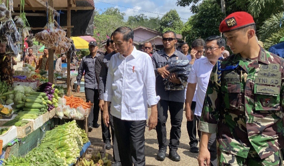 Cek Harga Pangan, Jokowi Tinjau Pasar Toemenggoeng Djaja Karti Kalteng (FOTO:Dok Ist)